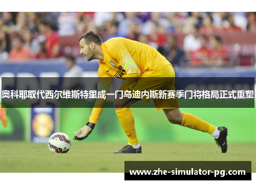 奥科耶取代西尔维斯特里成一门乌迪内斯新赛季门将格局正式重塑 奥科耶取代西尔维斯特里成一门乌迪内斯新赛季门将格局正式重塑